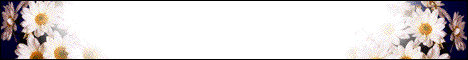 Firlama_Club_Online.gif (9603 bytes)